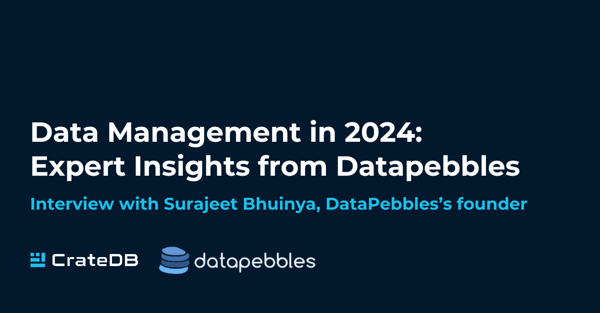 Data Management in 2024: Expert Insights from DataPebbles