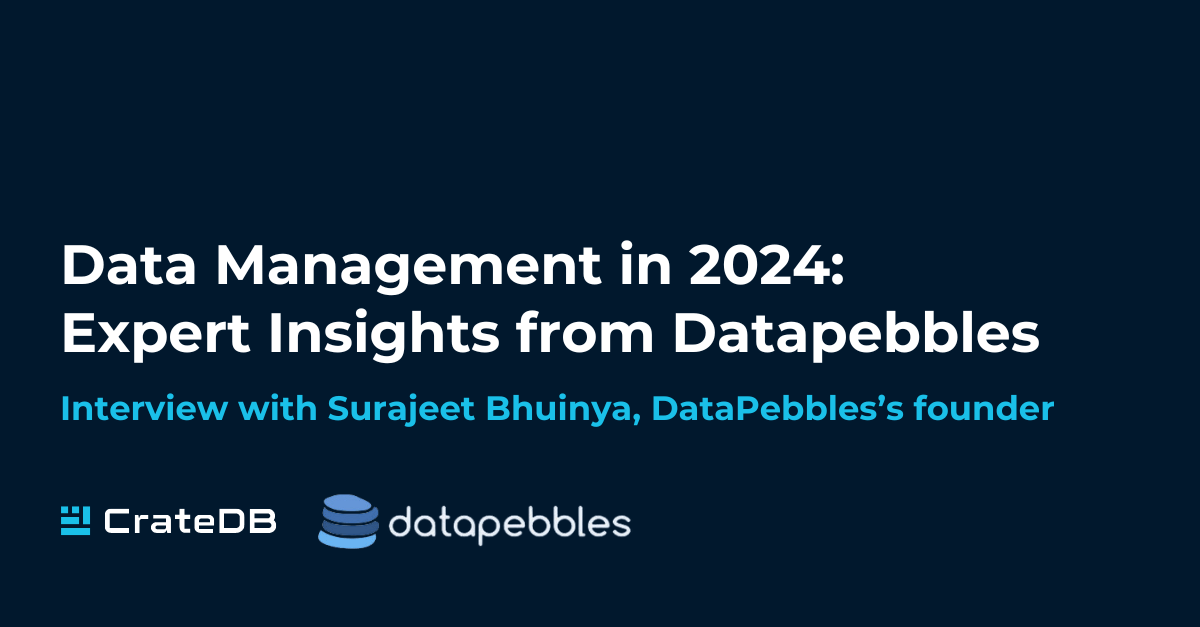 Data Management in 2024: Exper Insights from DataPebbles